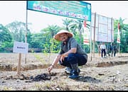 Bupati Armia Fahmi Ikut Tanam Jagung Hanpang Program Kodim 0117/Atam
