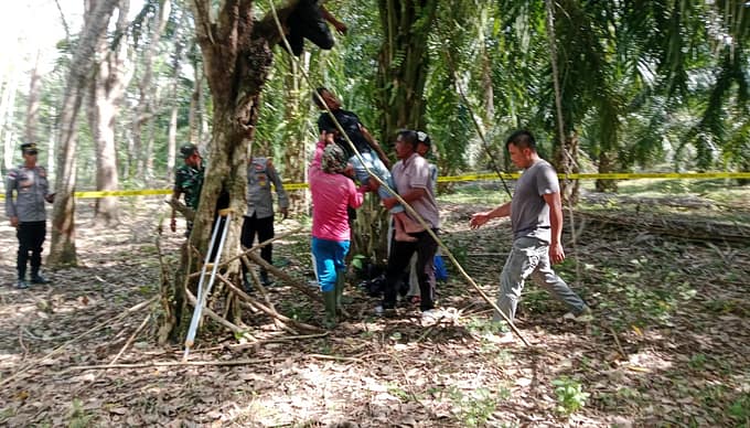 Tewas Di Pohon Karet, Pria 54 Tahun Ditemukan Dalam Kondisi Tergantung 