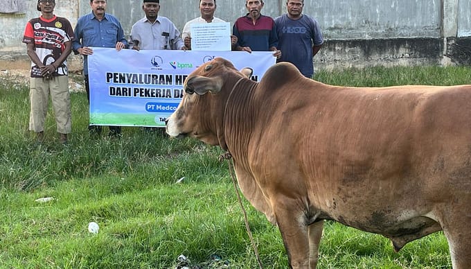 Medco E&P Salurkan Puluhan Hewan Kurban untuk Warga di Sekitar Blok A Aceh Timur