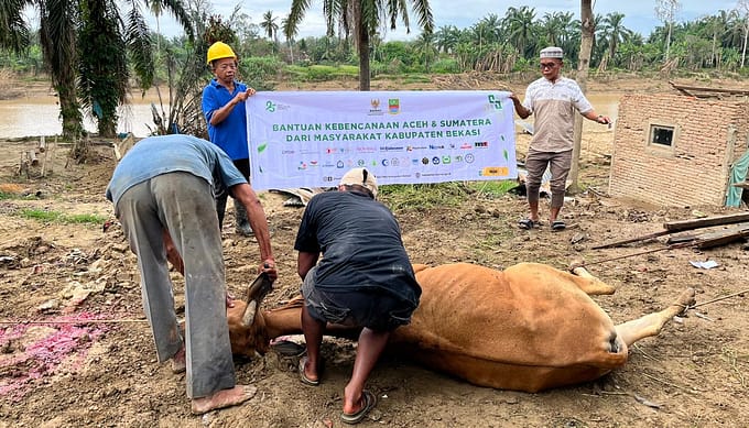 Warga Terdampak Banjir di Aceh Tamiang Terima 8 Ekor Sapi Meugang dari BAZNAS Bekasi